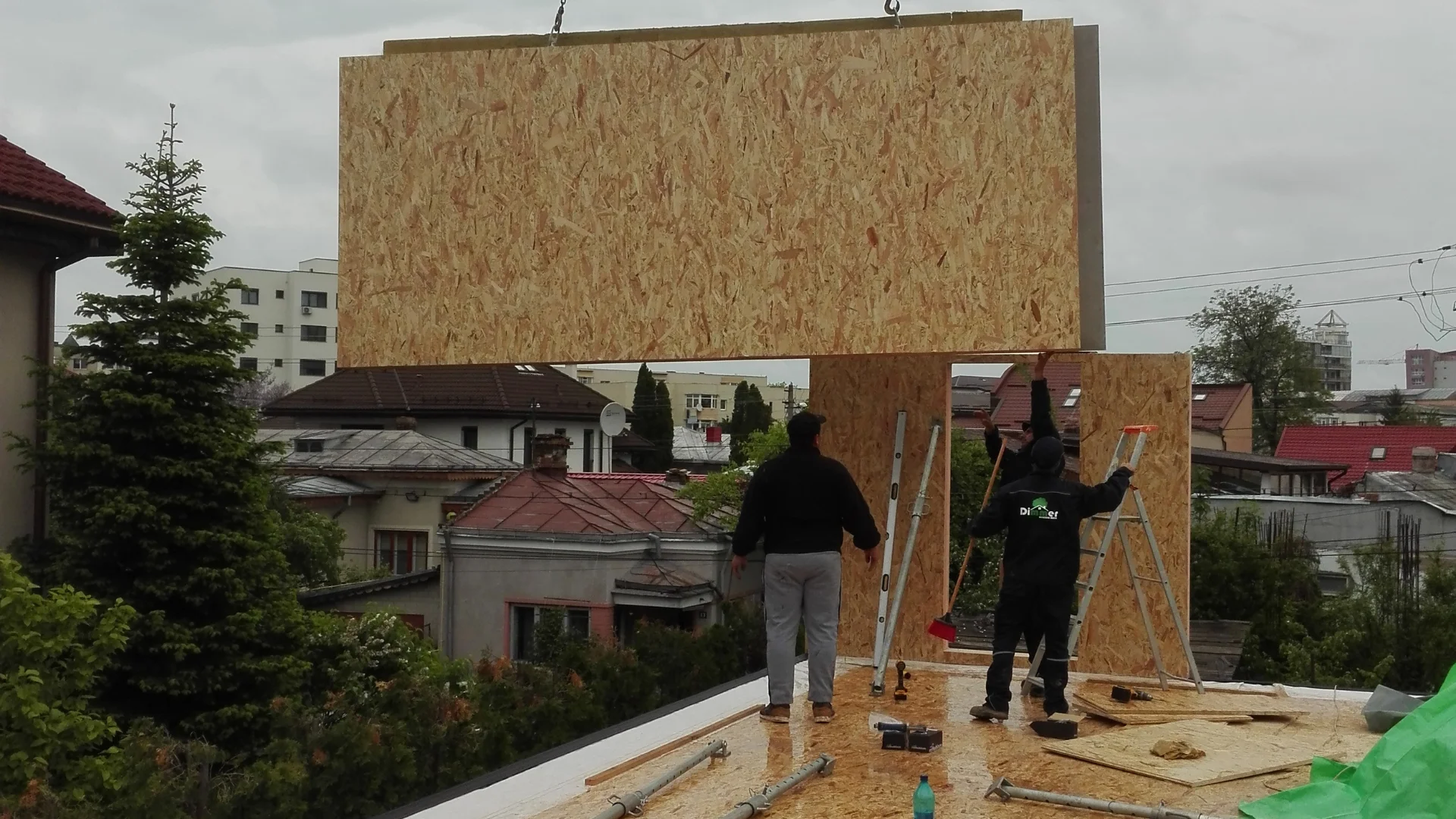 Casa Sprânceană (1)